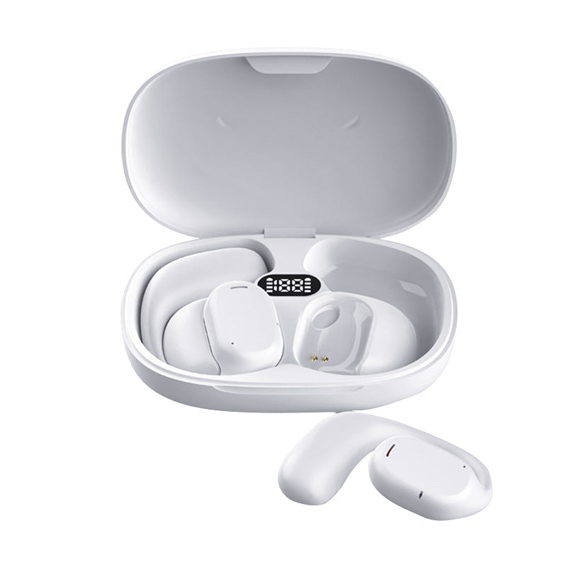 Real-Time Translation Earbuds